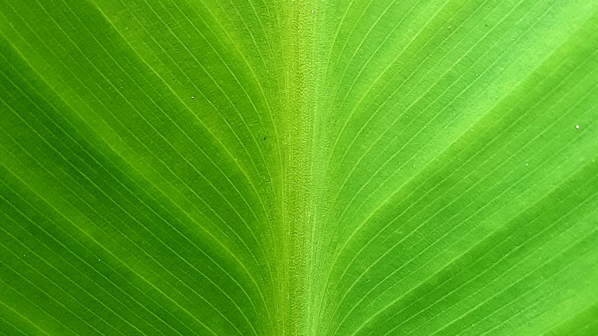 Expert consultation session